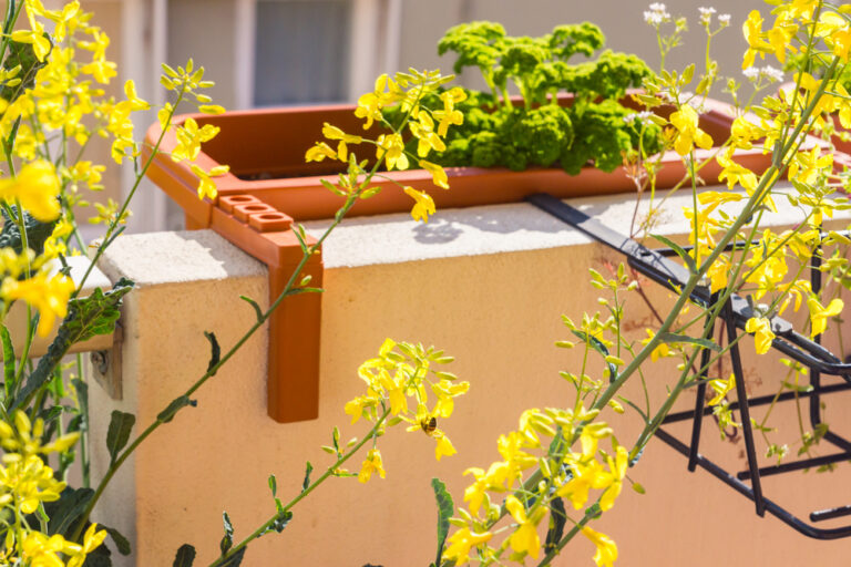 7 façons d’éloigner les abeilles du balcon